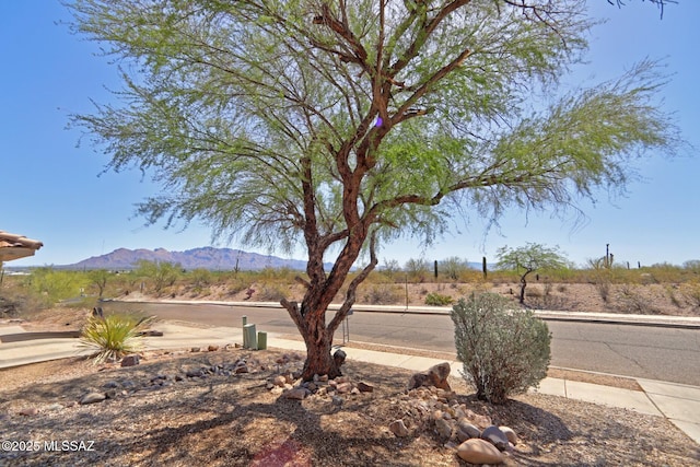 3625 N Avenida Albor, Tucson, AZ 85745 - view of yard with a mountain view