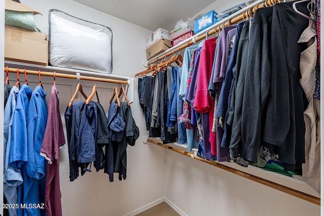 view of walk in closet
