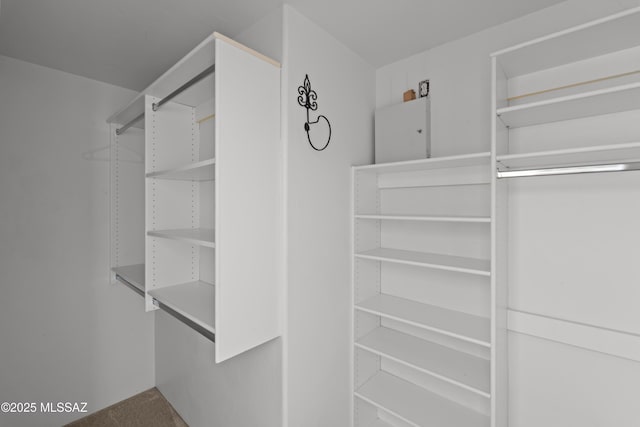view of walk in closet