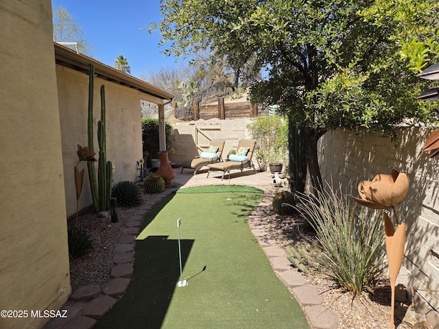 view of yard with a patio area and a fenced backyard