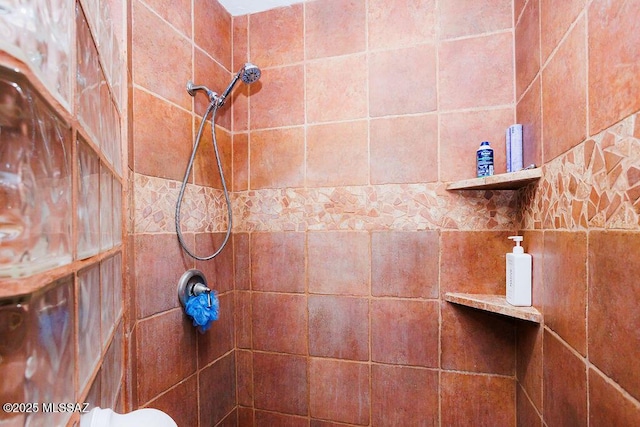 room details with tiled shower
