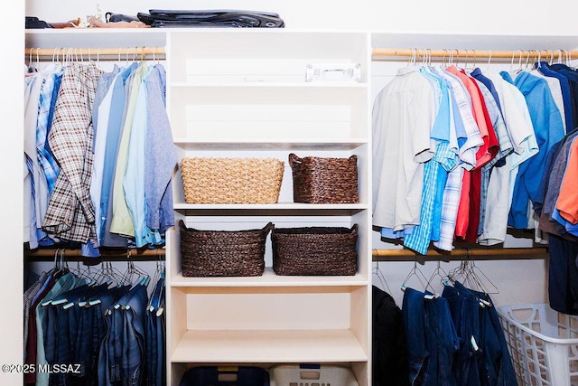 view of walk in closet