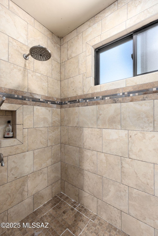 6341 E Brian Kent St, Tucson, AZ 85710 - bathroom with tiled shower