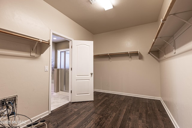 spacious closet featuring dark wood-type flooring