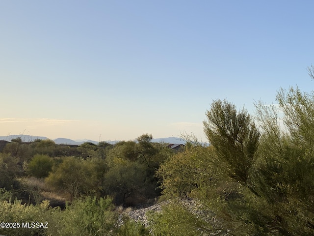 761 W Grantham St, Vail, AZ 85641 - view of local wilderness with a mountainous background