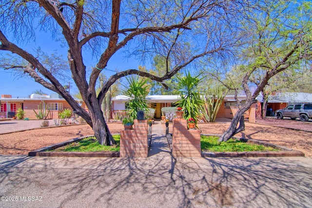 ranch-style house featuring driveway