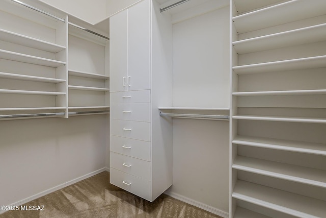 walk in closet with dark colored carpet