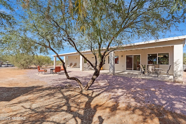 back of property featuring a patio area and stucco siding