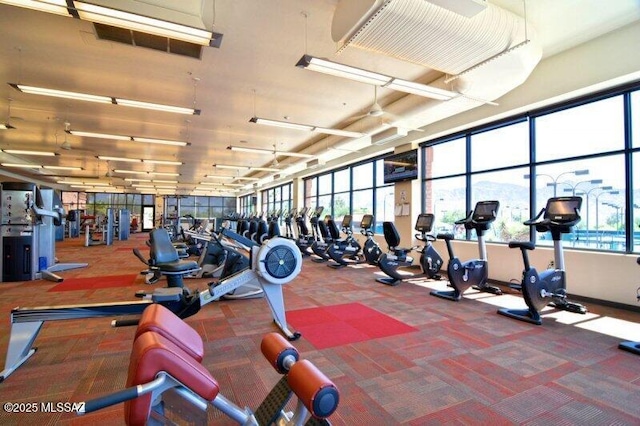 workout area with visible vents and carpet flooring