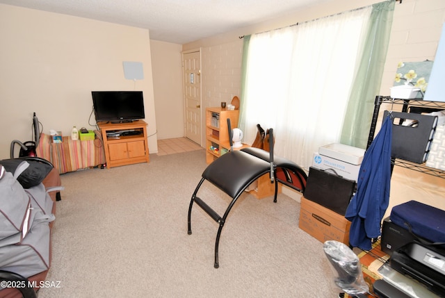 interior space featuring light colored carpet
