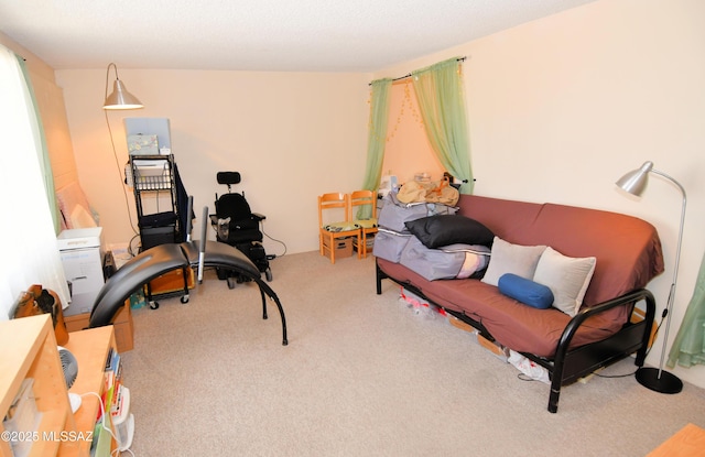 view of carpeted home office