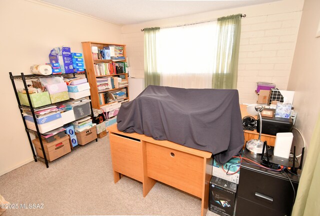 bedroom featuring light carpet