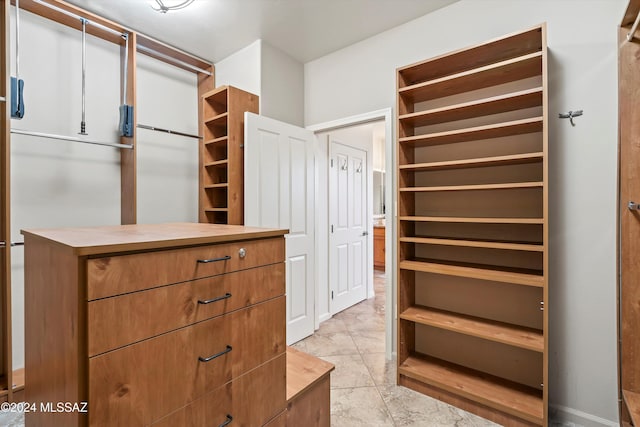 view of walk in closet
