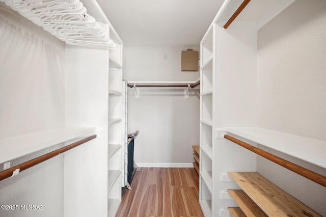 walk in closet with light wood finished floors