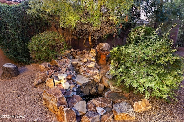 12487 N Wind Runner Pkwy, Marana, AZ 85658 - view of yard