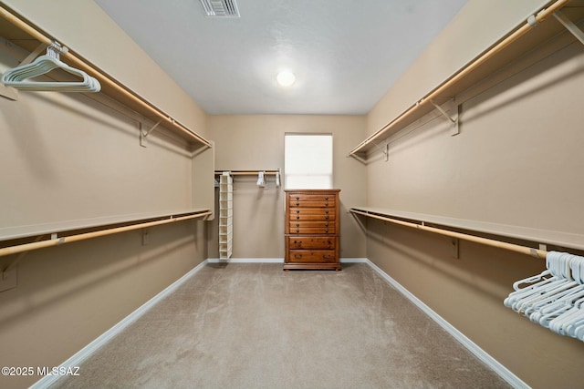 12487 N Wind Runner Pkwy, Marana, AZ 85658 - spacious closet featuring carpet floors