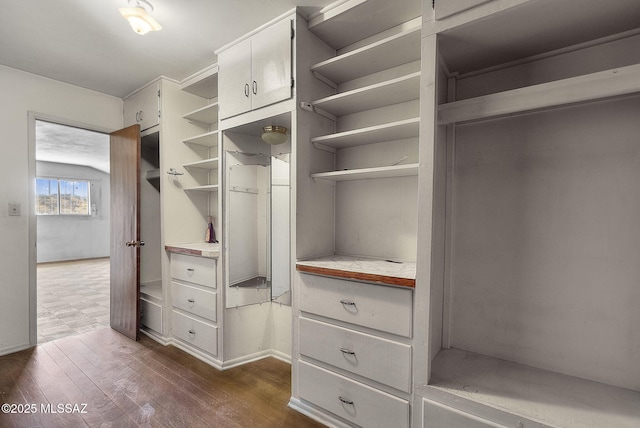 spacious closet featuring dark wood finished floors