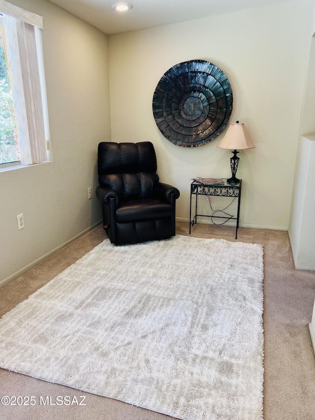sitting room featuring carpet floors