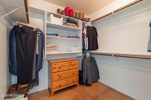 738 S Tohono Ridge Pl, Tucson, AZ 85745 - view of spacious closet