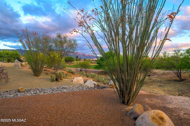 37717 S Terrace Park Dr, Saddlebrooke, AZ 85739 - view of yard with a mountain view