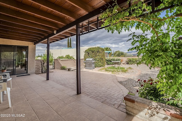view of patio / terrace with area for grilling
