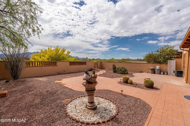 view of yard with a fenced backyard and a patio area