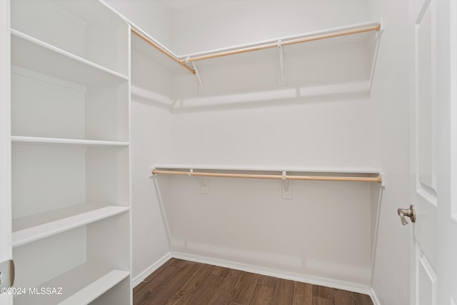 spacious closet featuring dark wood finished floors
