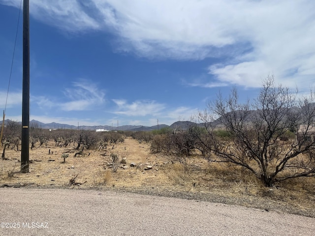 1785 Correo Ct Unit 31, Rio Rico, AZ 85648