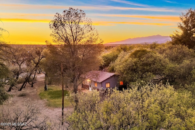 822 E Pomerene Rd, Benson, AZ 85602 - view of mountain backdrop