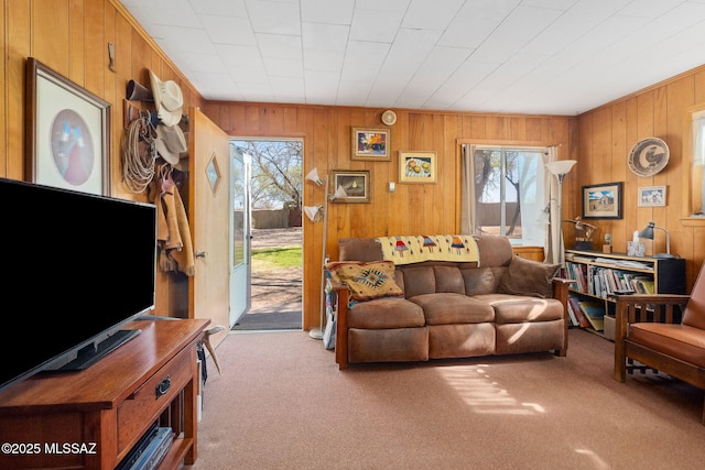 822 E Pomerene Rd, Benson, AZ 85602 - carpeted living area with healthy amount of natural light and wood walls