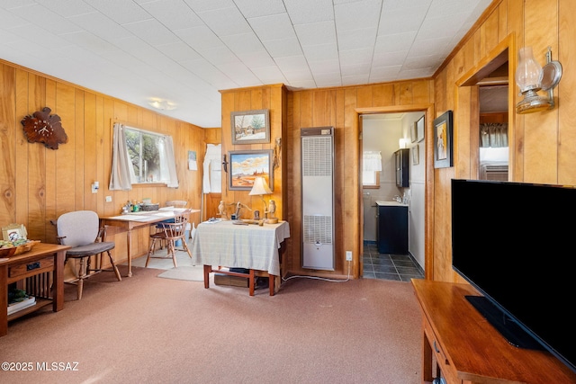 822 E Pomerene Rd, Benson, AZ 85602 - carpeted bedroom with a heating unit and wood walls