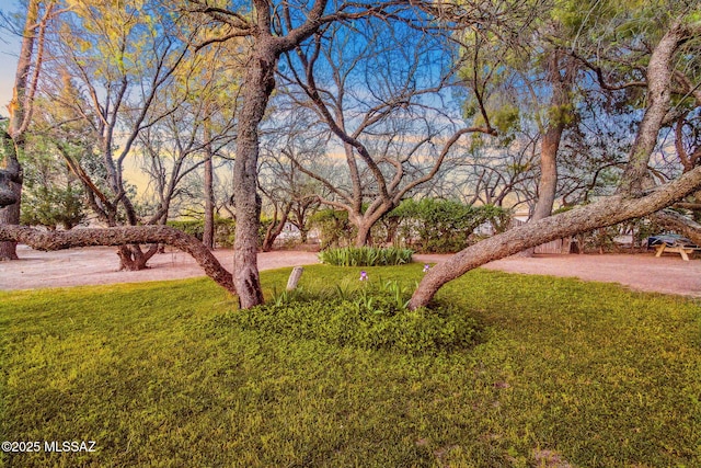 822 E Pomerene Rd, Benson, AZ 85602 - view of grassy yard