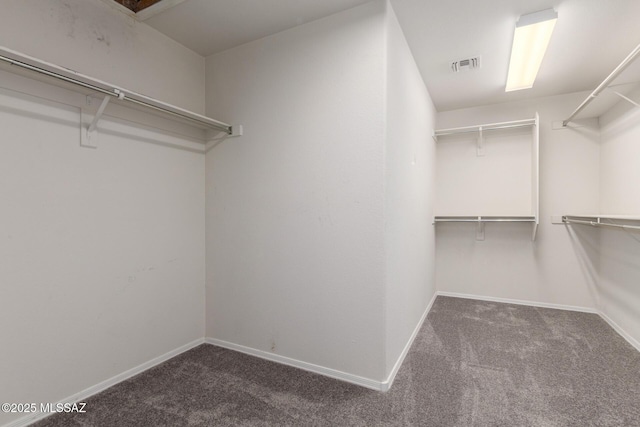 20950 E Frontier Rd, Red Rock, AZ 85145 - walk in closet featuring carpet floors