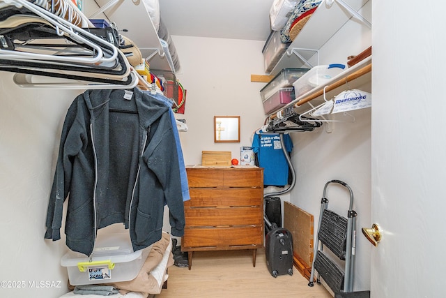 spacious closet with light wood-type flooring