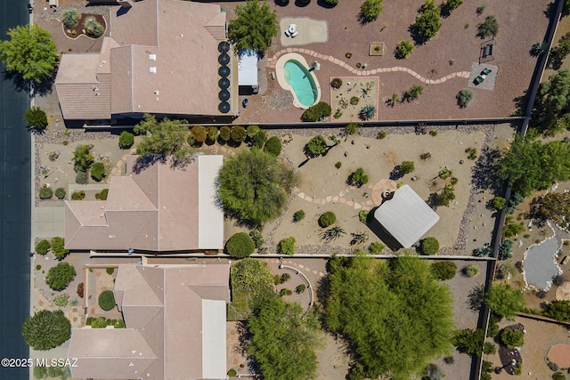 bird's eye view