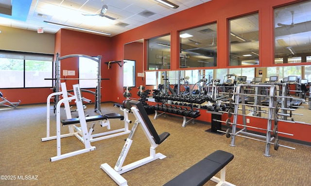 exercise room with carpet floors, visible vents, and a paneled ceiling