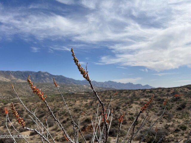 12ACRES S Golder Dam Rd, Saddlebrooke, AZ 85739