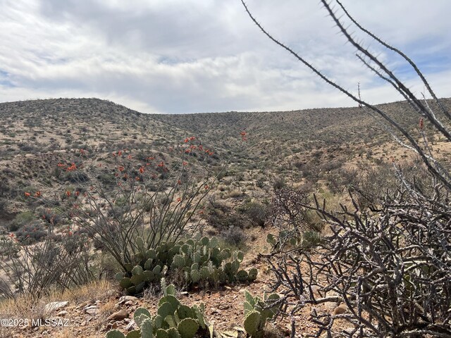 12ACRES S Golder Dam Rd, Saddlebrooke, AZ 85739