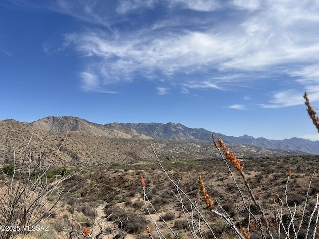 12ACRES S Golder Dam Rd, Saddlebrooke, AZ 85739
