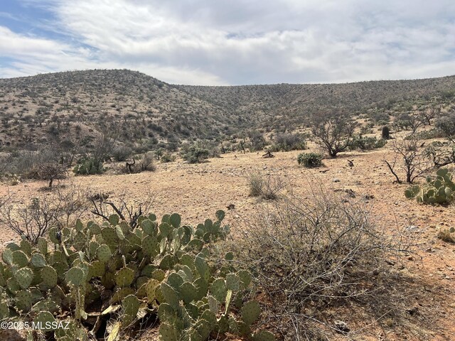 12ACRES S Golder Dam Rd, Saddlebrooke, AZ 85739