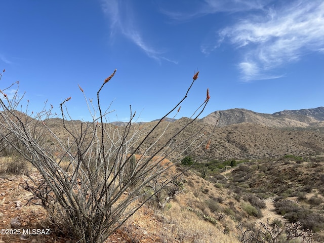 12ACRES S Golder Dam Rd, Saddlebrooke, AZ 85739