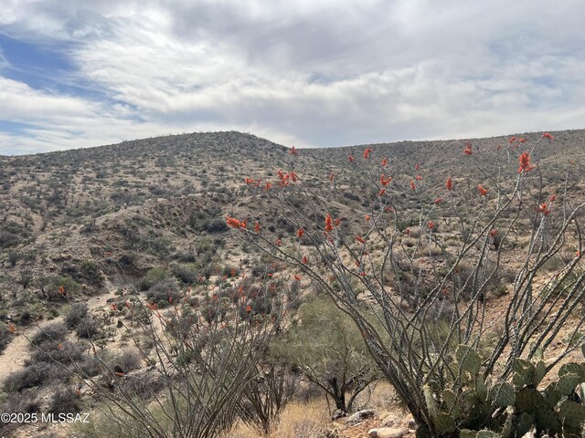 12ACRES S Golder Dam Rd, Saddlebrooke, AZ 85739