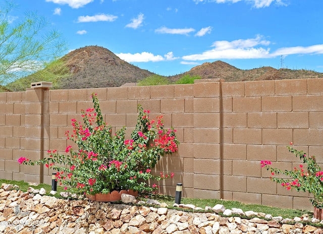 3581 W Avenida Vera Cruz, Tucson, AZ 85746 - view of yard featuring a mountain view