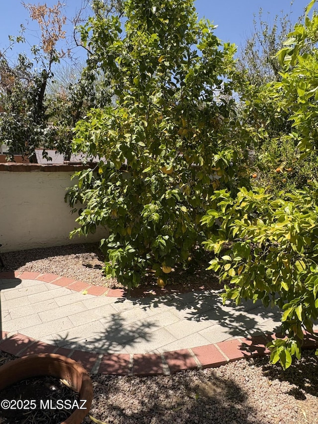 291 E Los Rincones, Green Valley, AZ 85614 - view of patio
