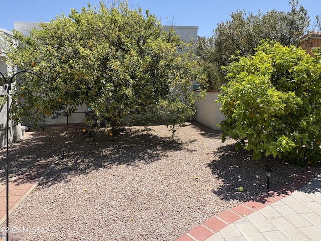 291 E Los Rincones, Green Valley, AZ 85614 - view of yard featuring fence