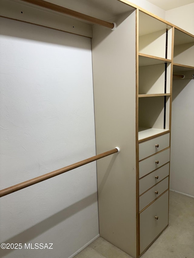 291 E Los Rincones, Green Valley, AZ 85614 - view of walk in closet