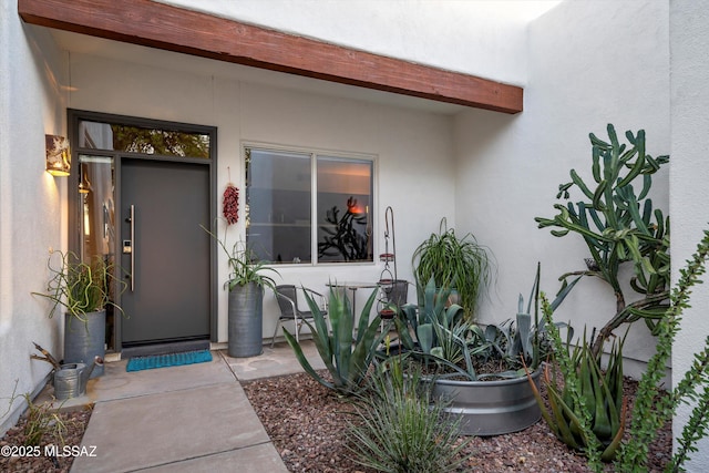 entrance to property with a patio and stucco siding