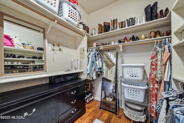 spacious closet featuring wood finished floors