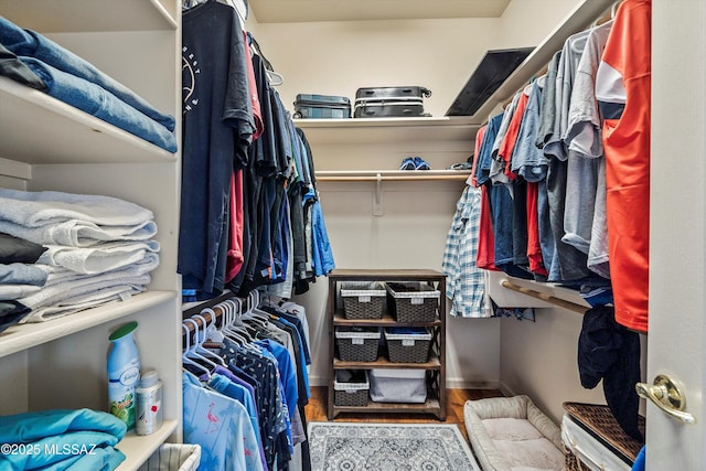 spacious closet featuring wood finished floors