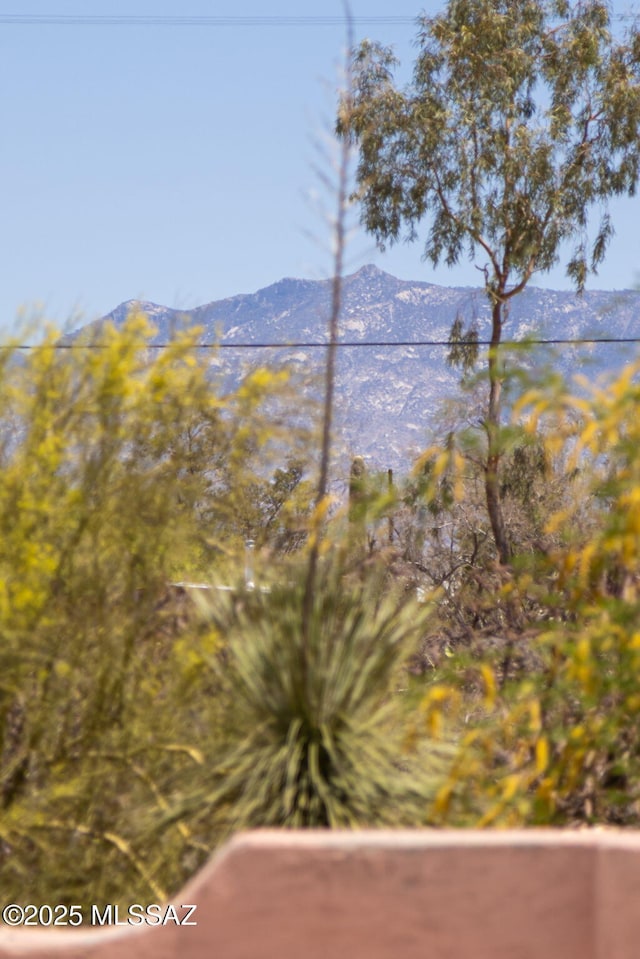 property view of mountains